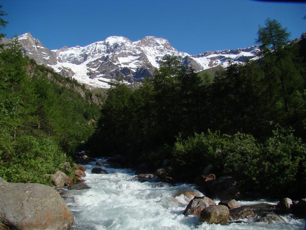 Bed and Breakfast Tre Alberi Liberi Alagna Valsesia Esterno foto