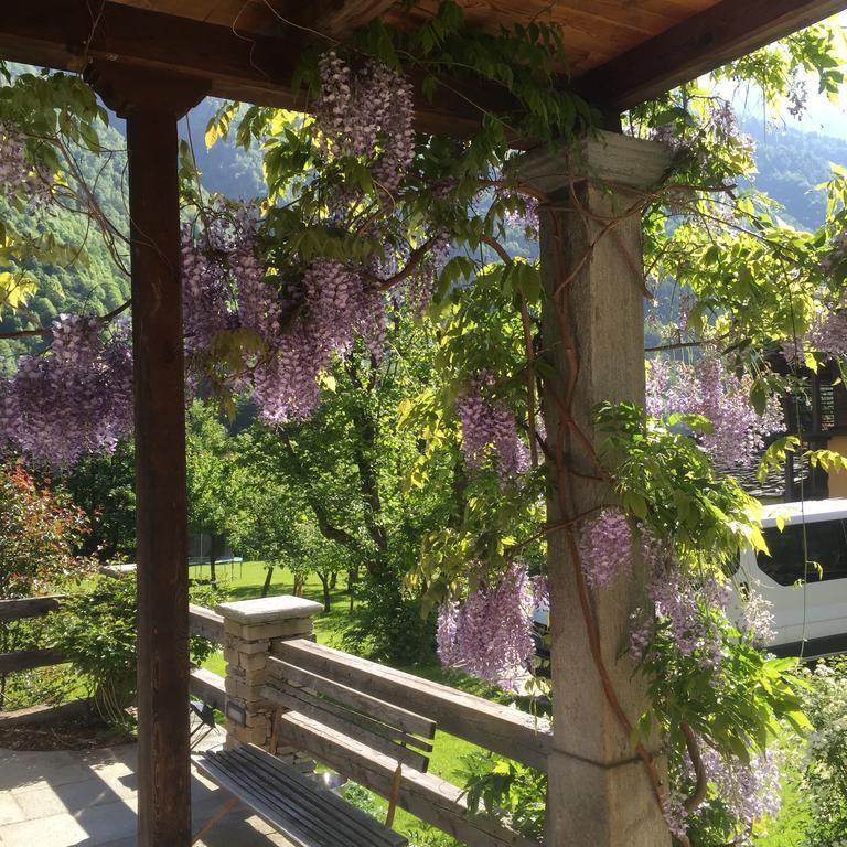 Bed and Breakfast Tre Alberi Liberi Alagna Valsesia Esterno foto