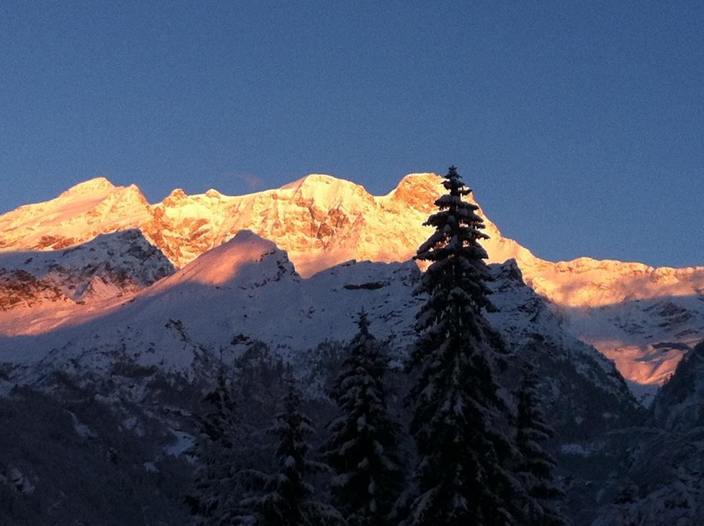 Bed and Breakfast Tre Alberi Liberi Alagna Valsesia Esterno foto