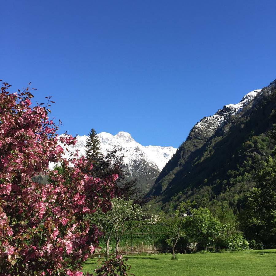 Bed and Breakfast Tre Alberi Liberi Alagna Valsesia Esterno foto